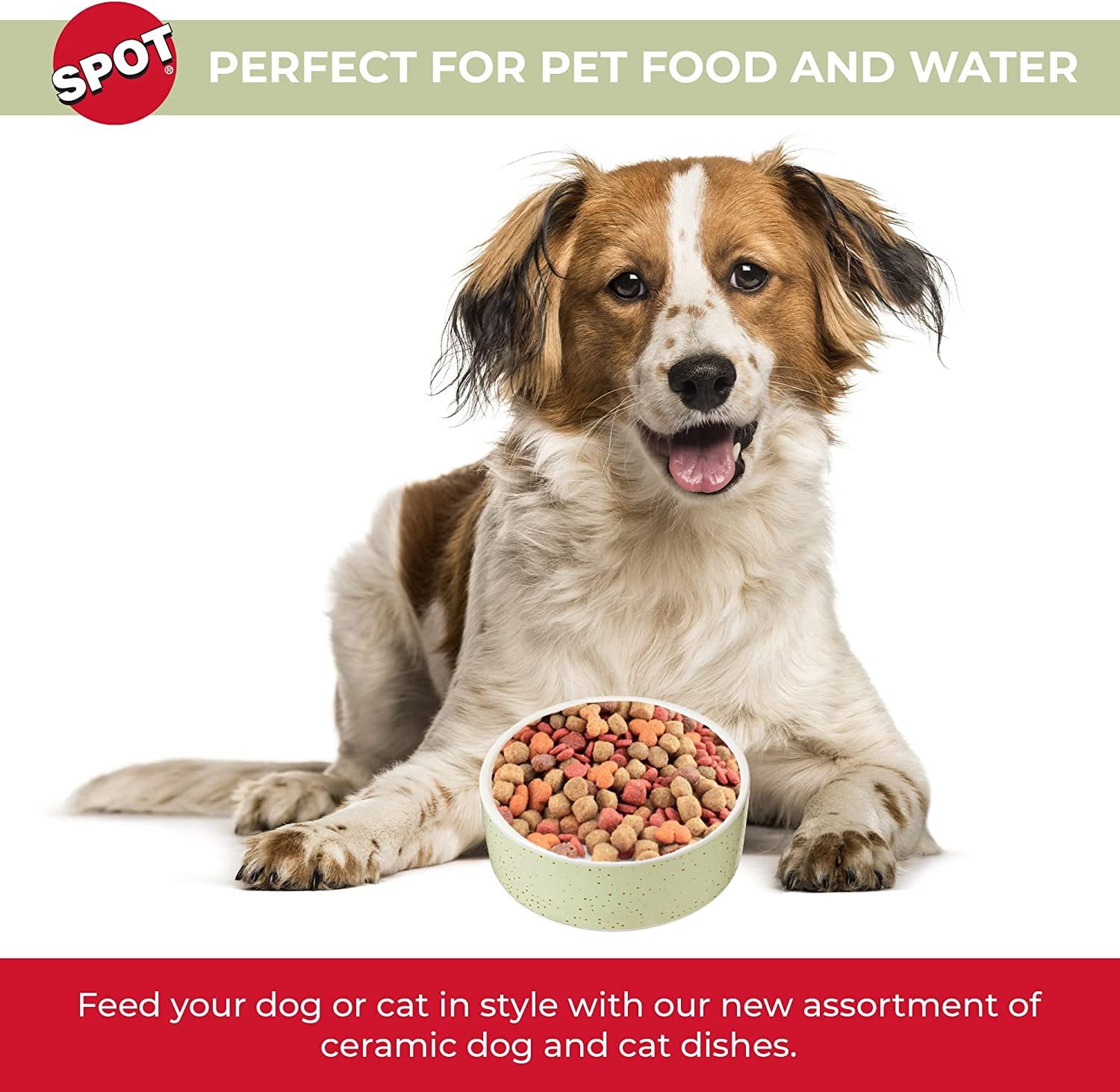 Ethical Pet 077234547045 7 in. Spot Speckled Dog Dish Bowl