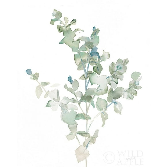 Eucalyptus II Cool Poster Print by Danhui Nai (18 x 24)