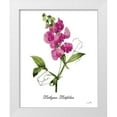thumbnail image 1 of Sophie 6 12x14 White Modern Wood Framed Museum Art Print Titled - Lathyrus Latifolius, 1 of 4