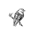 thumbnail image 2 of House Fenway 25x32 White Modern Wood Framed Museum Art Print Titled - Songbird Sketch I, 2 of 4