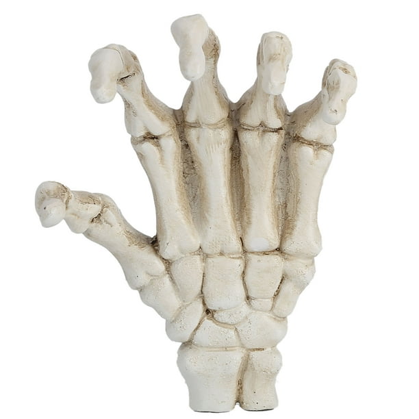 Plastic Skeleton Hands, Corrosion Resistance Human Hand Skeleton Model High  Hardness Multifunctional For Teaching Tool For Bracket For Home Decoration