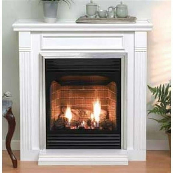 Empire  24 in. Intermittent Pilot Vail Premium Fireplace with Electronic Valve - Liquid Propane
