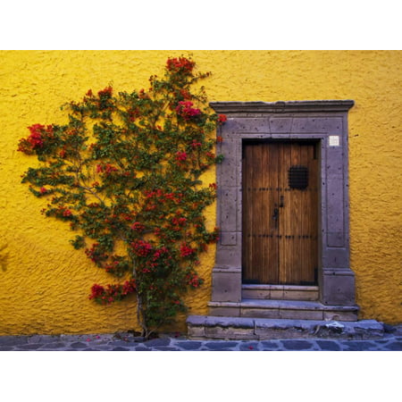 Mexico, San Miguel de Allende, Doorway with Flowering Bush Print Wall Art By Terry