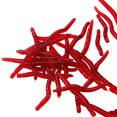 thumbnail image 2 of 100pcs 4.5cm Bloodworm Soft Fish Bionic Baits PVC Earthworm Fish Baits Lures, 2 of 6