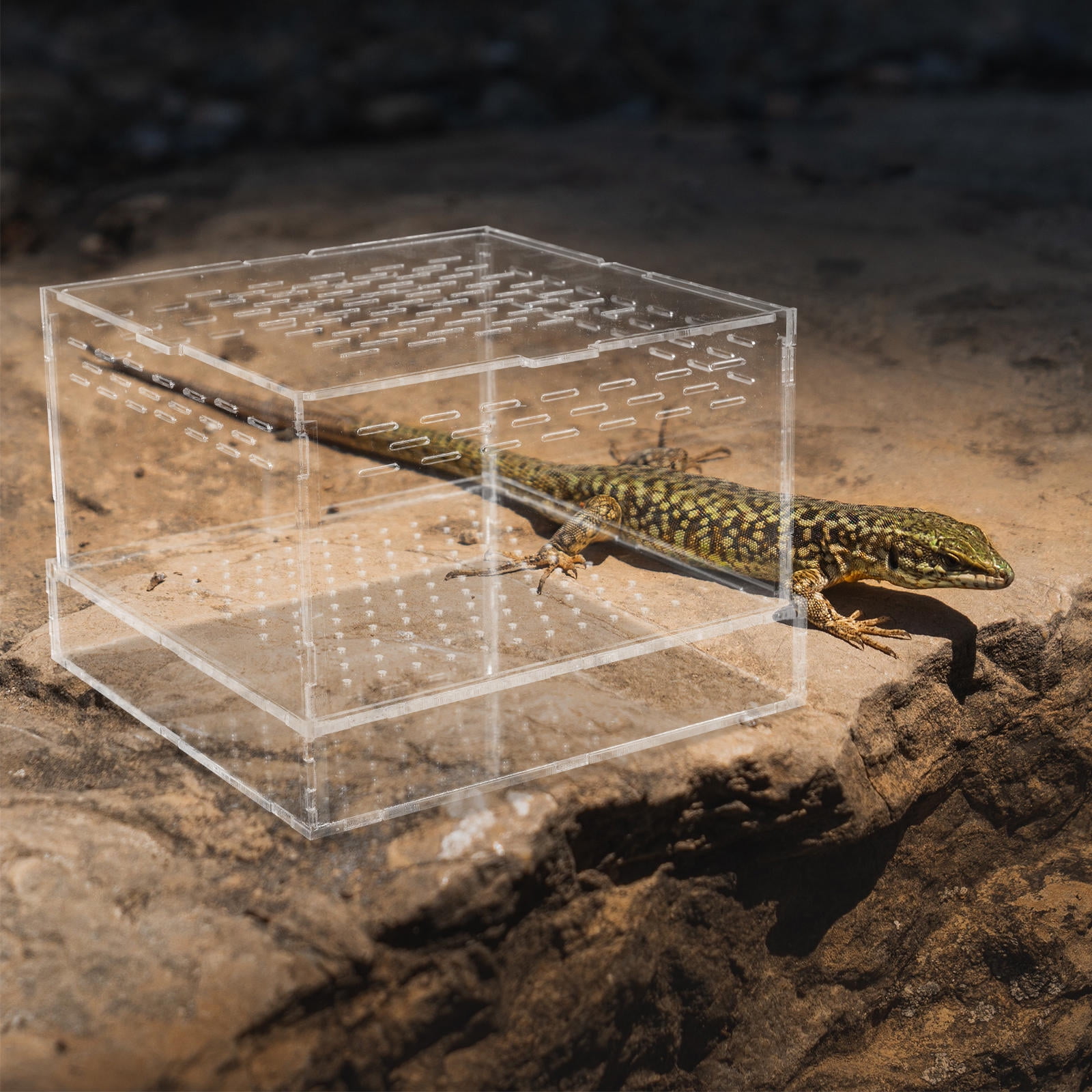 Minkissy Clear Habitat Box for Small Reptiles Transparent Keeper for Snakes Turtles and Geckos