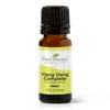 Plant Therapy Ylang Ylang Complete Essential Oil 100% Pure, Undiluted, Natural Aromatherapy, Therapeutic Grade 10 mL (1/3 oz)