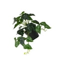 thumbnail image 1 of Plantas Artificiales Naiovety Hoja Planta Falsa para Decoración de Hogar y Boda, 1 of 6