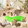 thumbnail image 2 of ZeenArt Hamster Toys Set, Wooden Guinea Pig Toys, Teething Toys Hamster Cage Accessories, 2 of 7