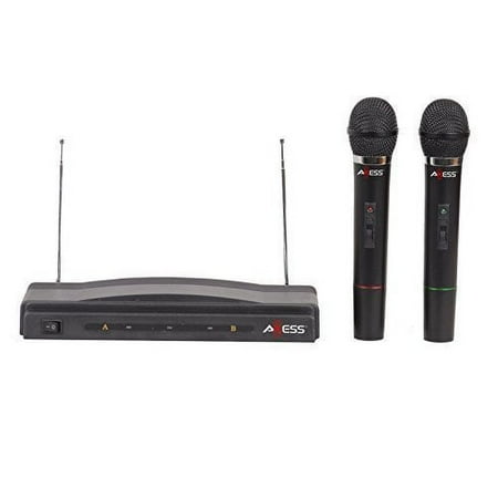 Dual Professional Handheld Wireless Microphone Wireless FM Receiver