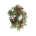 thumbnail image 1 of Cateissary Luces LED de frutas rojas alimentadas por encantadora para el hogar lámparas portátiles de guirnalda de Navidad para Iluminación navideña Tipo 2 Cateissary HA073645-02, 1 of 6