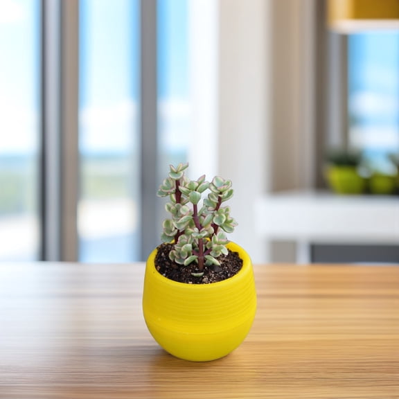 LABSERRON Yellow Resin Flower Pots for Decorative Succulents and Cacti