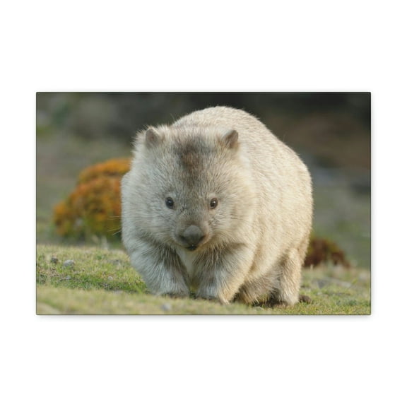 Majestic Wombat Art Majestic Wombat Print Animal Wall Art Wildlife Canvas Prints Wall Art Ready to Hang Unframed