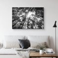 thumbnail image 3 of IDEA4WALL Canvas Wall Art Aerial View of Sunlight Filtering Through Trees Leaves Nature Forest Photography Realism Traditional Dramatic Black and White for Living Room, Bedroom, Office - 24"x36", 3 of 5