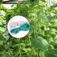thumbnail image 2 of Filet de Jardin Grimpant en Rotin Réutilisable 2*100M Maille de Support de Plante Recyclable, 2 of 6