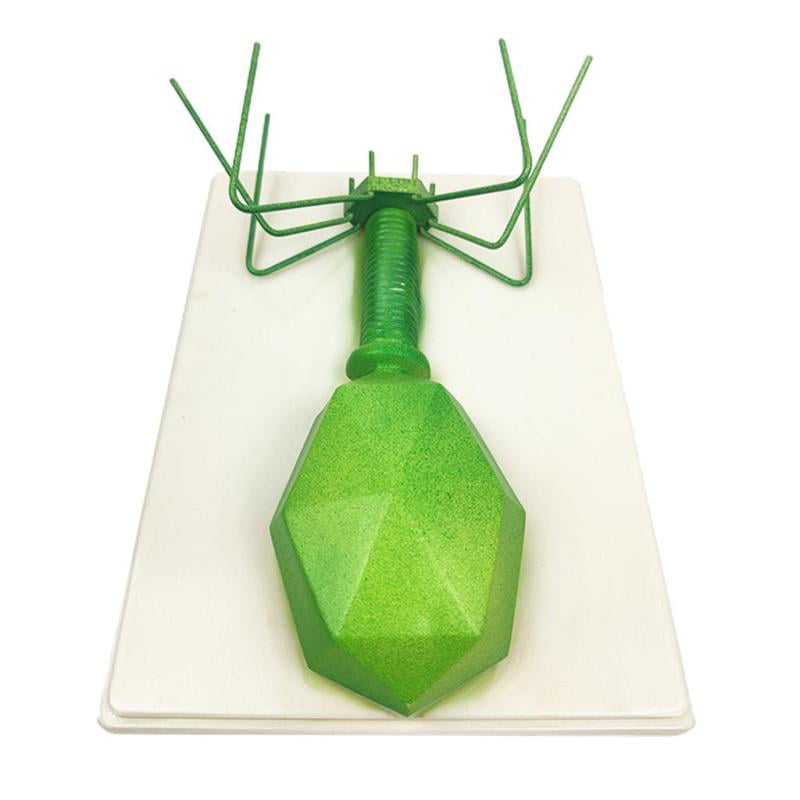 Details about   Model Bacteriophage Germ Biological Experiment Student Science Teaching Toy 