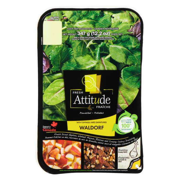 Fresh Attitude Waldorf Salad Kit Walmart.ca