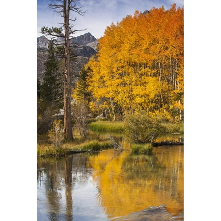 Eastern Sierra, Bishop Creek, California Outlet and Fall Color Print Wall Art By Michael