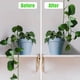 thumbnail image 5 of 100 Uds clip de fijación de vid de pared soporte de escalada de plantas gancho adhesivo de pared soporte de planta clip de encuadernación soporte de vid, 5 of 6