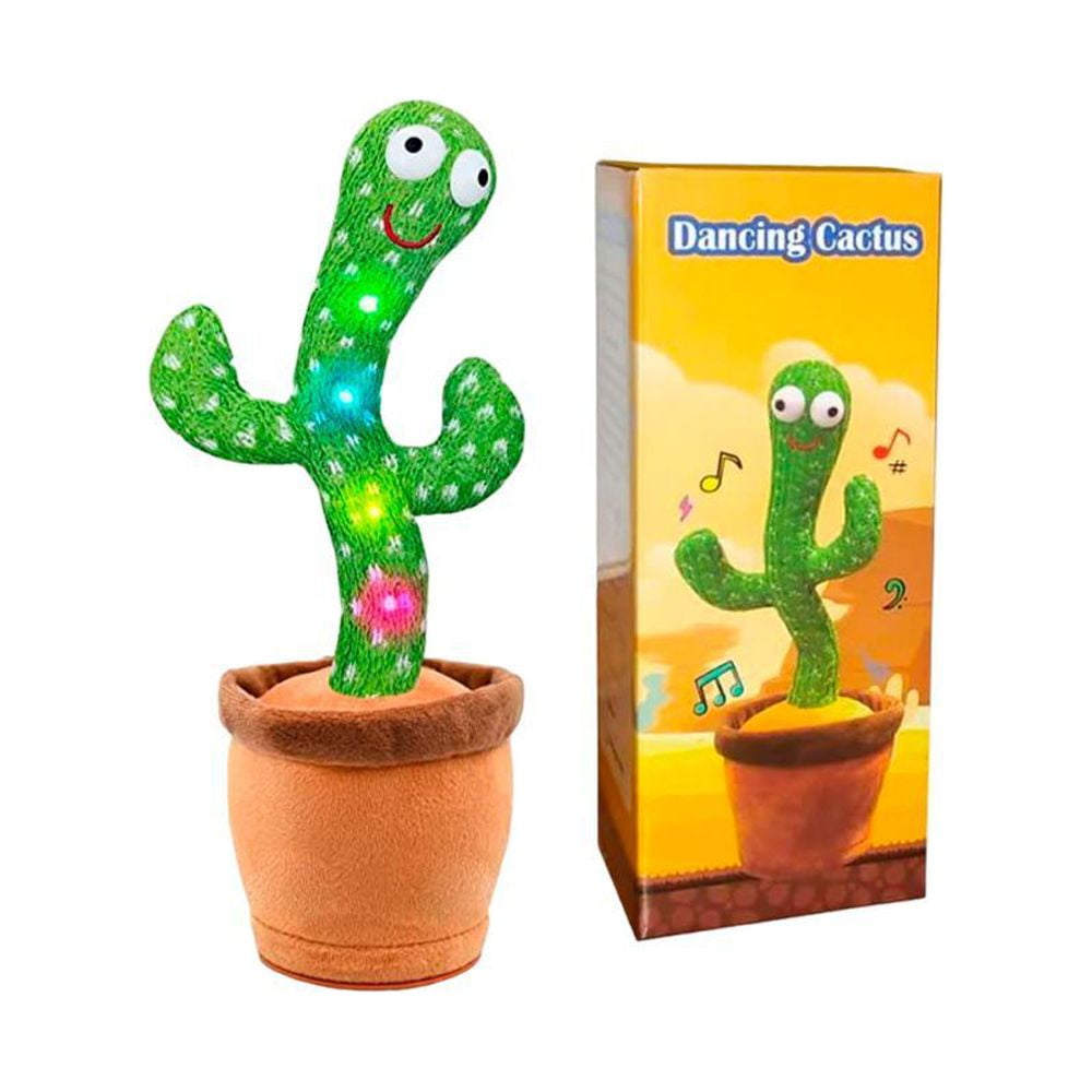 mistletoe cactus rhipsalis baccifera Rhipsalis baccifera 'Oasis'  Mistletoe Cactus, Pet Safe Trailing Plant   Plant Studio