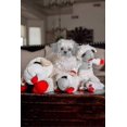 thumbnail image 3 of Lamb Chops Plush Dog Toy With Squeak Walkbee, 3 of 3