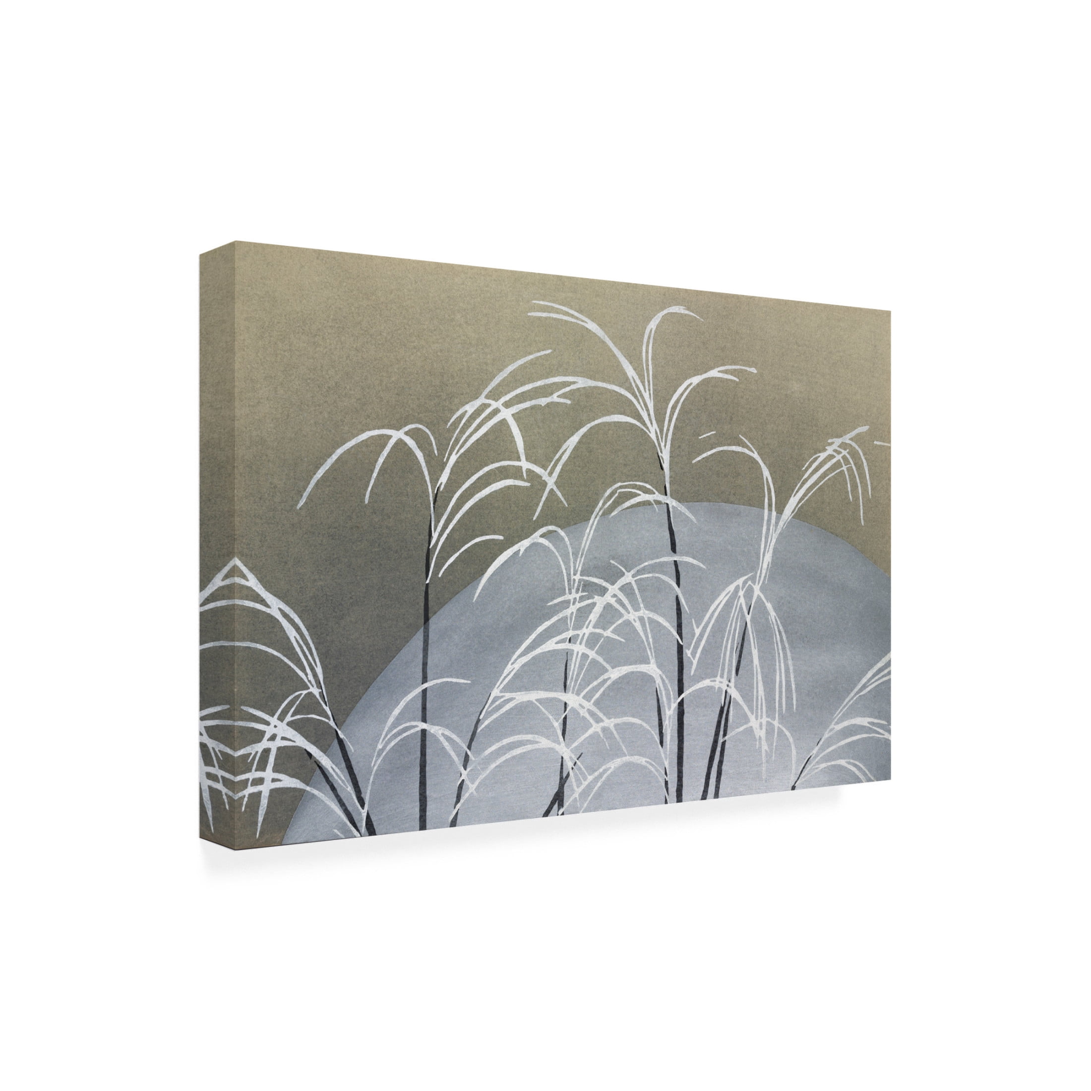 Trademark Fine Art Pictufy  Frost From Momoyogusa Canvas Wall Art