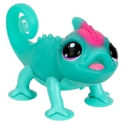 Little Live Pets Sunny the Bright Light Green Chameleon, Interactive 30+ Sounds & Emotions, Ages 5+