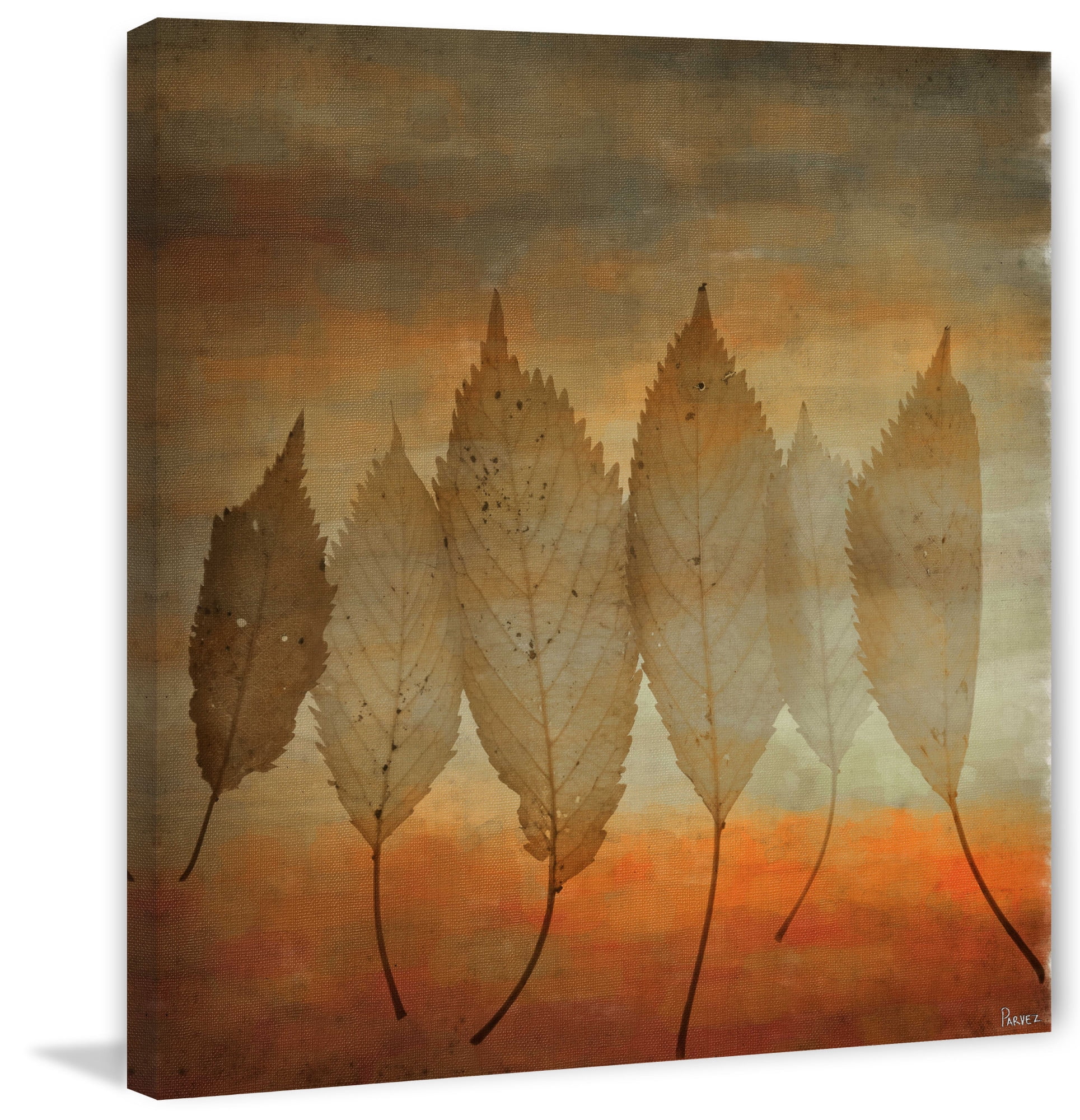 Parvez Michel Inc Leafs - Multi-color