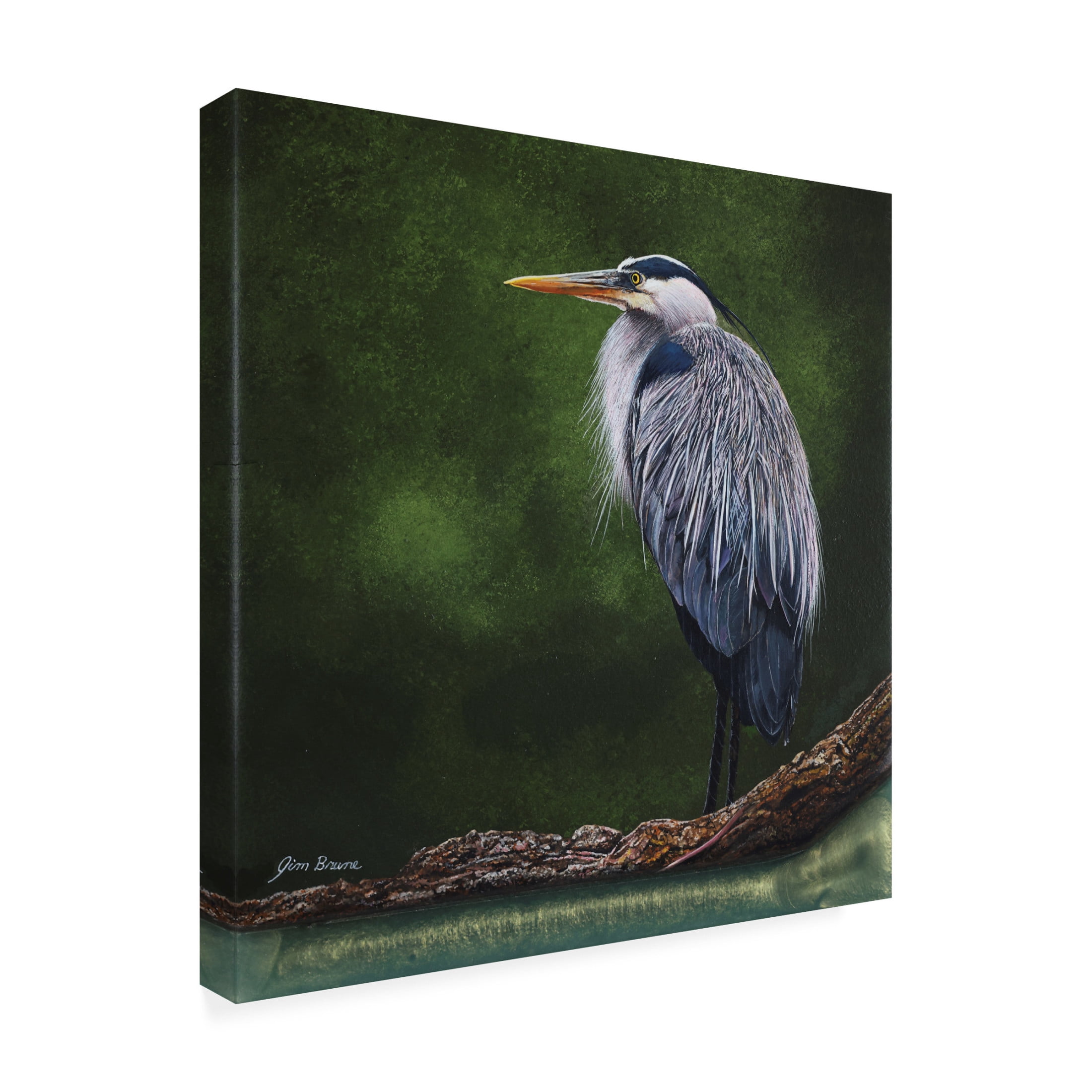 Canvas Wall Art - Jim Brune 'Great Blue Heron in Marsh' Wall Art for Living Room, Bedroom, or Office Décor by Trademark Fine Art - 35 x 35 Inches