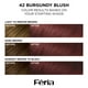thumbnail image 2 of Tinte para el cabello L'Oreal Paris Feria 42 Burgundy Blush, 1 kit, 2 of 6