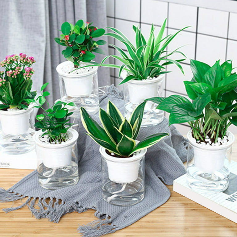 Self-Watering Planters for Indoor Plants Clear African Violet Pots Plastic  Orchid Pots Flower Pots, Large, Medium and Small Sizes, Home Decor Pot