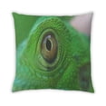 thumbnail image 2 of Ahgly Company Color Focus Green Outdoor Throw Pillow, 18 inch by 18 inch, 2 of 6