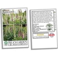 thumbnail image 6 of Foxglove Flower Seeds (Digitalis) – 5500+ Heirloom Non-GMO Seeds by Isla’s Garden Seeds, Ideal for Planting, Beautiful Blooms for Gardens and Landscaping, 6 of 7