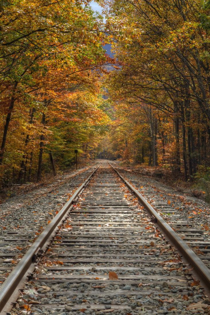 Autumn Railroad Tracks, White Mountain, New Hampshire Print Wall Art By