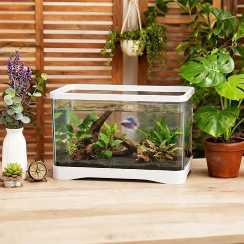 2 Gallon Plastic Rectangular Fish Tank, Aquarium for Betta Fish Reptiles Succulents Flower Centerpiece, Shatterproof with Clear Clarity for Home Office Desktop Decors (White)