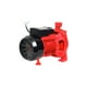 thumbnail image 5 of Bomba Centrifuga Para Agua Duo 1/2 Hp 127 V CPM130 D Igoto Igoto CPM130D, 5 of 5