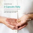 thumbnail image 5 of Vitanica Women's Phase I, Premenstrual Support, Vegan, 120 Capsules, 5 of 7