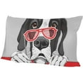 thumbnail image 6 of Great Dane Dog with Red Grill Glasses Velvet Oblong Lumbar Plush Throw Pillow Cover/Shams Cushion Case - 20x36in - Decorative Invisible Zipper Design for Couch Sofa Pillowcase Only, 6 of 7