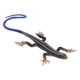 thumbnail image 3 of Modelo De Reptil ANGGREK Figura De Lagarto Pintura Segura Colorido Para Dormitorio, 3 of 8