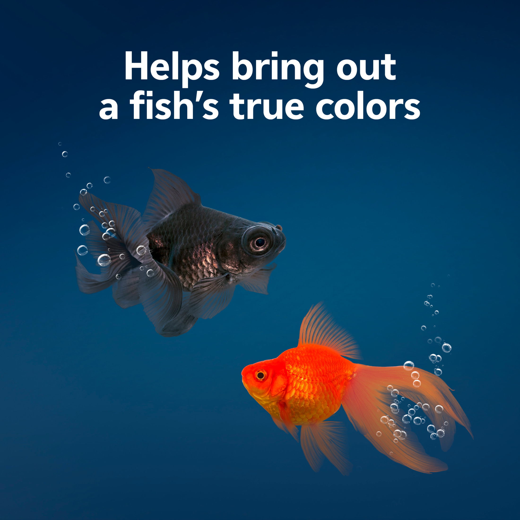 (4 pack) Aqueon Goldfish Flakes Fish Food 3.5 Ounces