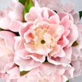 thumbnail image 6 of Peonies Artificial Flowers with Glass Vase, Silk Faux Peony Flower Arrangement with Faux Water, Fake Flowers in Vase for Table Centerpieces, Pink, 6 of 10