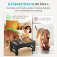 thumbnail image 3 of GHSDFBB Bols Surélevés pour Grands Chiens, Support de Bol pour Chien Surélevé avec Bol pour Chien Étanche, Bol pour Chien en Acier Inoxydable, Hauteur Ajustable pour Petits, Moyens et Grands Chiens, 3 of 7