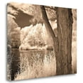 thumbnail image 2 of Tangletown Fine Art Lakefront View II by Ily Szilagyi Poster Frame - 21 x 29 x 1.5 in., 2 of 2