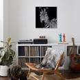thumbnail image 4 of Art.com Zebra II Square Stretched Canvas Print Wall Art by Debra Van Swearingen, 30" x 30", 4 of 4