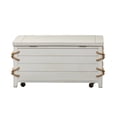 thumbnail image 5 of Dockside White Storage Trunk, 5 of 9