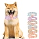 thumbnail image 5 of Collar de perro con flores, collar ajustable con estampado floral, collar para mascotas para perros pequeños, medianos y grandes, 5 of 5