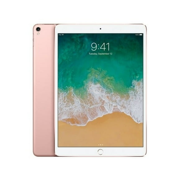 Pre-Owned Apple iPad Pro 256 GB Wifi Gold (Good)