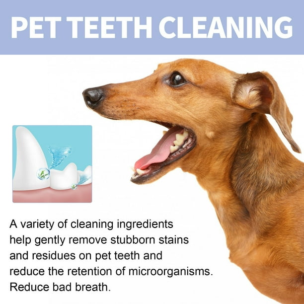 Dog toothpaste for bad breath hotsell