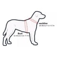 thumbnail image 3 of Arnés Con Aro Anticolisión Para Perro Ciego, 3 of 5