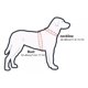 thumbnail image 3 of Arnés Con Aro Anticolisión Para Perro Ciego, 3 of 5