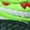 Green, variant on Baby Boy Shoes Luminous Shoe Leather Dinosaur Sports Shoes Light up Shoes Green